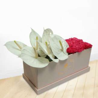 anthurium and carnation box bouquet
