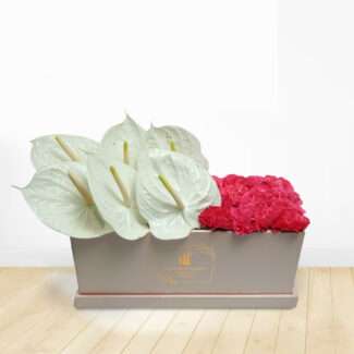 anthurium and carnation box bouquet