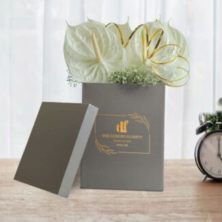 anthurium box bouquet