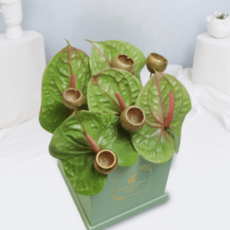 anthurium box bouquet