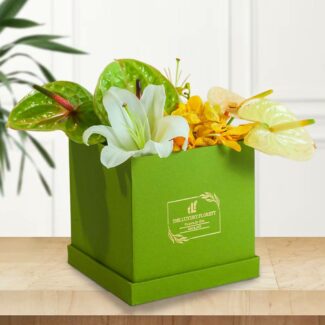 lily & anthurium box bouquet