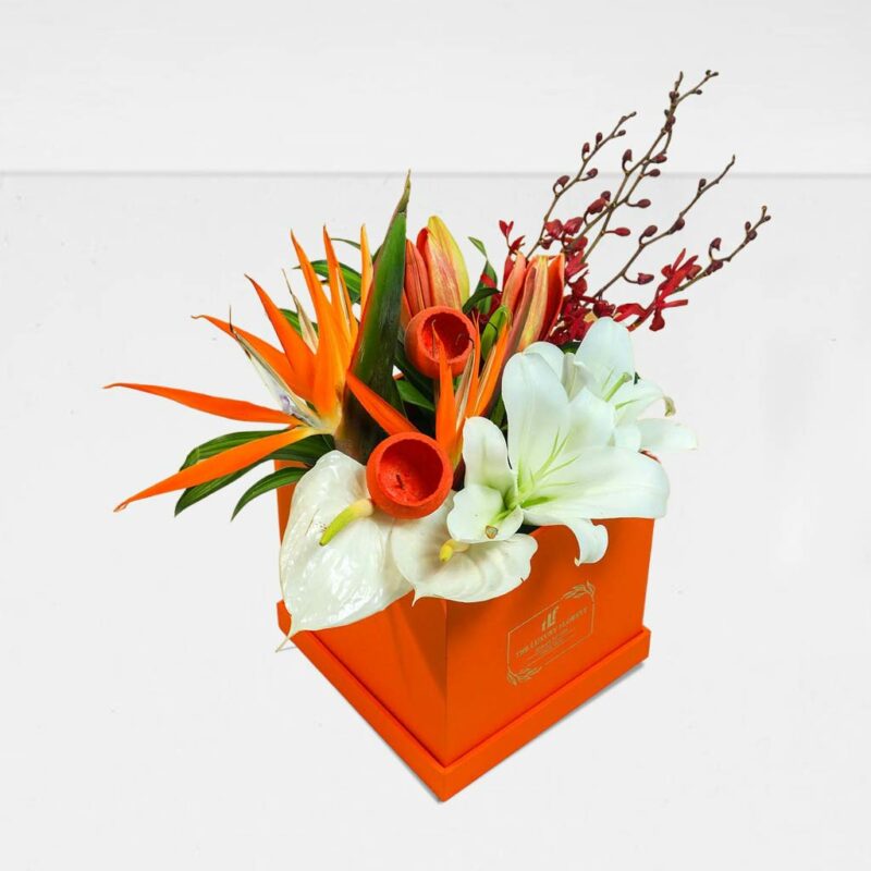 orchid and lilies box bouquet